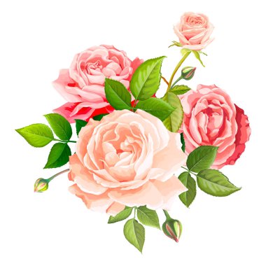 çok güzel gül çiçek