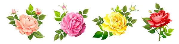 Adorável rosa flor —  Vetores de Stock