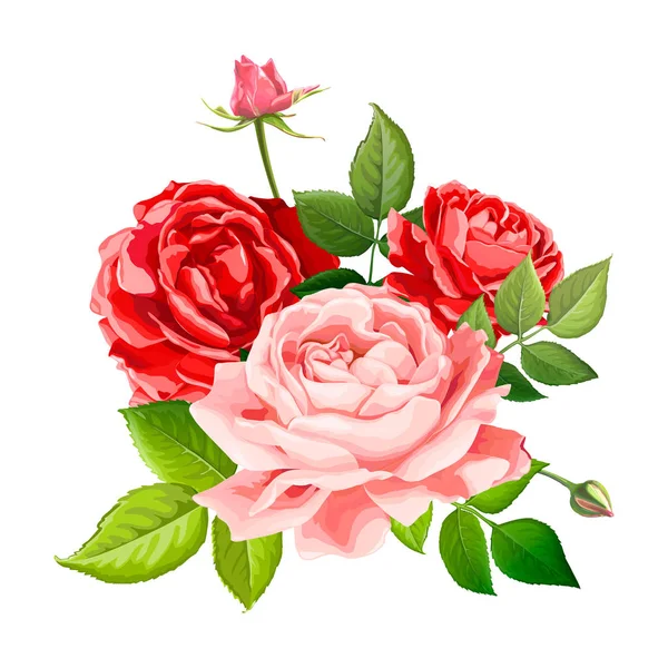 可爱的玫瑰花朵 — 图库矢量图片