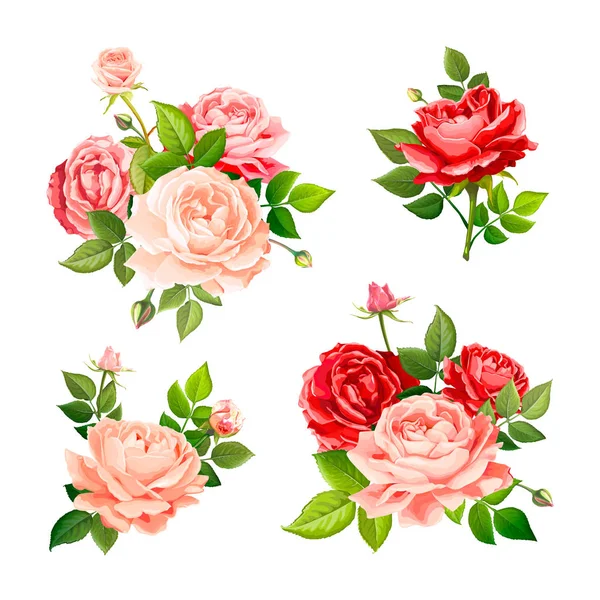 可爱的玫瑰花朵 — 图库矢量图片