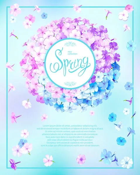 Fondo de primavera con Phlox — Vector de stock