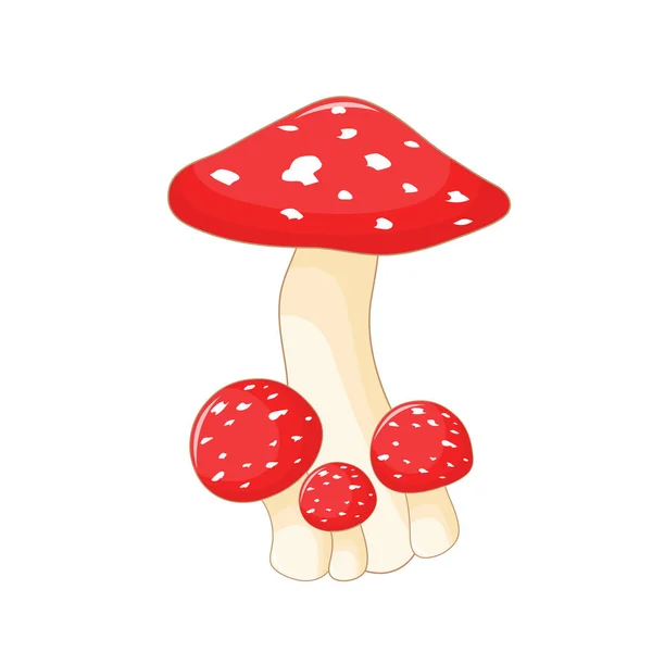 Иллюстрация различных грибов аманита разной формы. Векторные грибы в мультяшном стиле. Изолированный на белом фоне — стоковый вектор