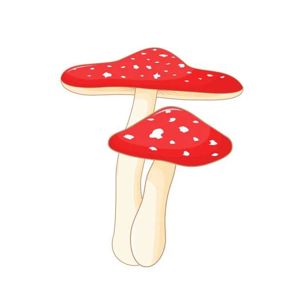 Ilustração de cogumelos diferentes amanita de formas diferentes. Cogumelos vetoriais em estilo cartoon. Isolado sobre fundo branco —  Vetores de Stock