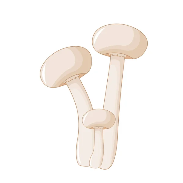 Ilustracja z różnych pieczarki champignon o różnych kształtach. Wektor grzyby w stylu cartoon. Na białym tle — Wektor stockowy