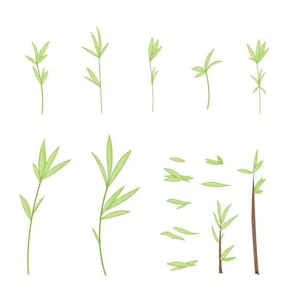 Ensemble de branches stylisées avec des feuilles. isolé sur fond blanc dans le vecteur. collection de feuilles, brindilles, pousses dans un style dessin animé — Image vectorielle