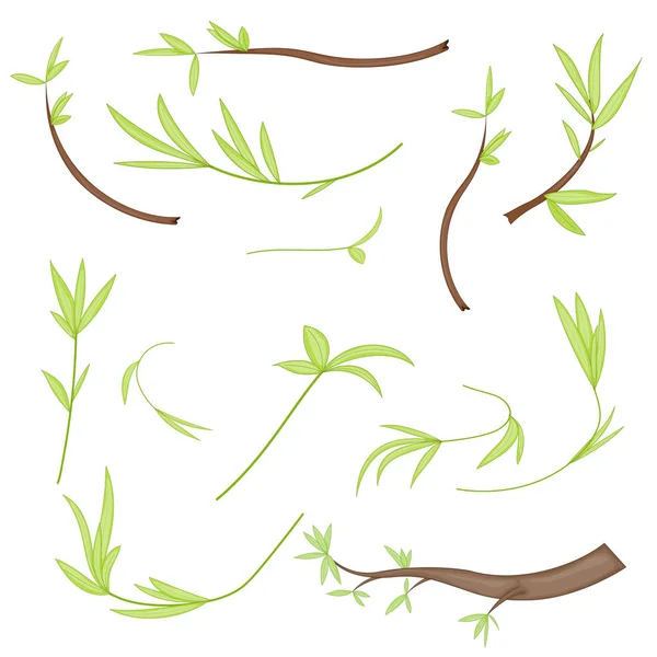 Stilisierte Zweige mit Blättern. isoliert auf weißem Hintergrund im Vektor. Sammlung von Blättern, Zweigen, Triebe im Cartoon-Stil — Stockvektor