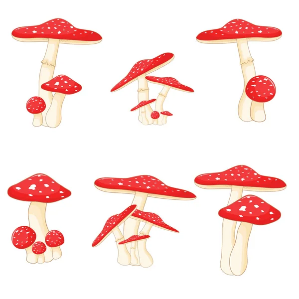 Illustration of different mushrooms amanita of different shapes. Vector mushrooms in cartoon style. Isolated on white background — Stock Vector