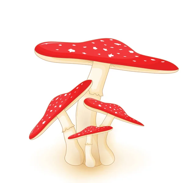 Illusztráció a különböző gomba, amanita, különböző alakzatok. Vektor gomba rajzfilm stílusú. Elszigetelt fehér background — Stock Vector