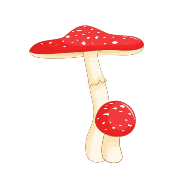 Ilustração de cogumelos diferentes amanita de formas diferentes. Cogumelos vetoriais em estilo cartoon. Isolado sobre fundo branco —  Vetores de Stock