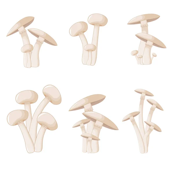 Különböző gombák csiperkegomba, különböző alakzatok illusztrációja. Vektor gomba rajzfilm stílusú. Elszigetelt fehér background — Stock Vector