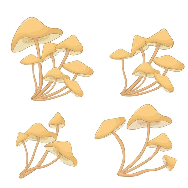 Conjunto Cogumelos Toadstools Plantas Floresta Cogumelos —  Vetores de Stock