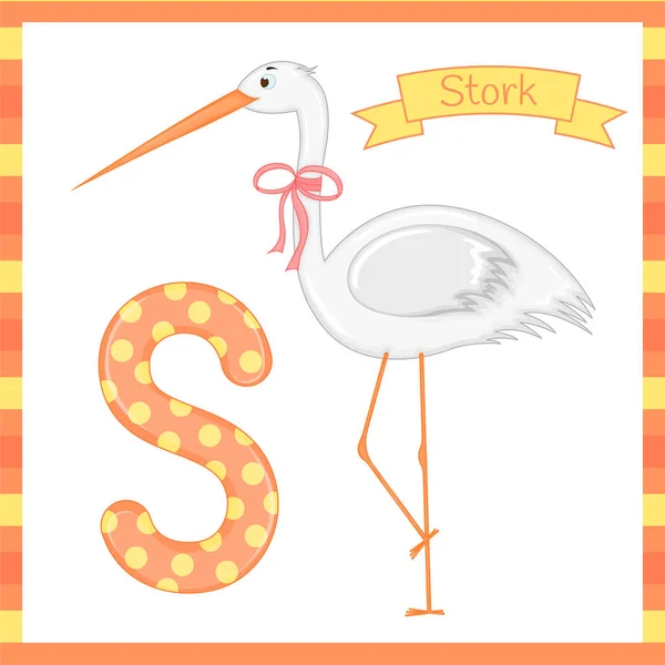 Dieren alfabet. S is voor Stork. Vectorillustratie van een gelukkig ooievaar. Cute Cartoon geïsoleerd — Stockvector