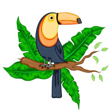 Vektör toucan. Dalda oturan egzotik tropik kuş.