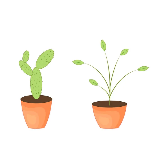 Deux cactus verts dans un pot, illustration vectorielle — Image vectorielle