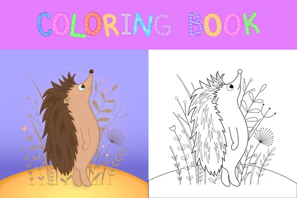 Livre de coloriage pour enfants avec des animaux de dessin animé. Tâches éducatives pour les enfants d'âge préscolaire hérisson mignon — Image vectorielle