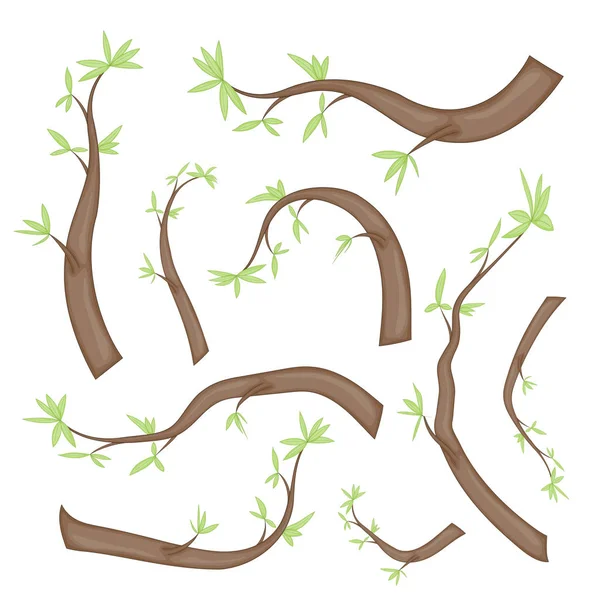 Zestawy gałązek z drzew z liśćmi — Wektor stockowy