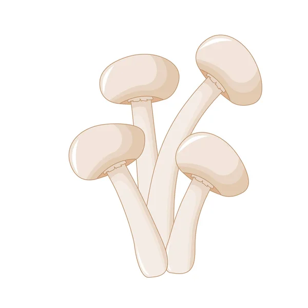 Ilustração vetor bonito de cogumelo em um fundo branco —  Vetores de Stock