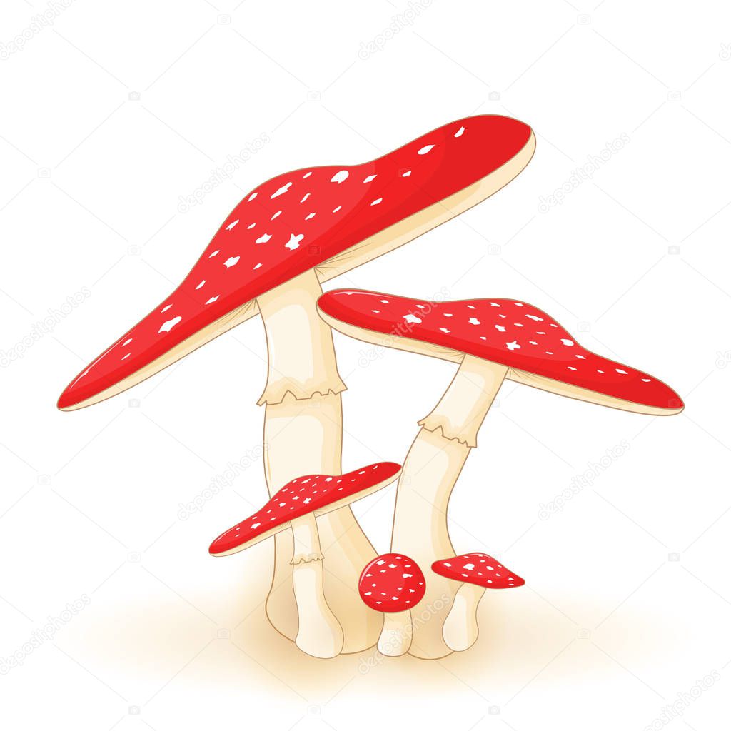 cute vector illustration of mushroom on a white background