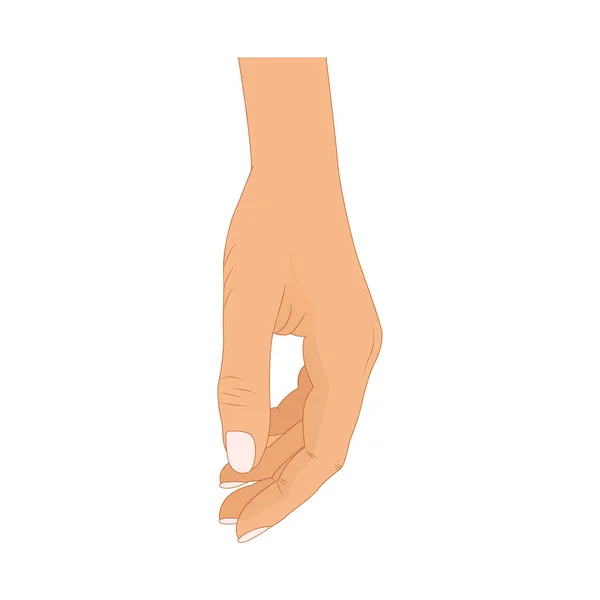 Posar de la mano. Mano masculina o femenina en estilo de dibujos animados — Vector de stock