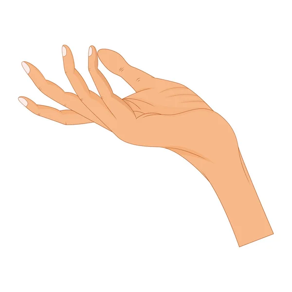Posar de la mano. Mano masculina o femenina en estilo de dibujos animados — Archivo Imágenes Vectoriales