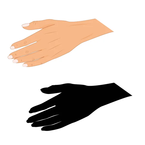 Mano con el dedo que apunta Ilustración vectorial, Señalar los dedos, manos dibujadas a mano aisladas sobre fondo blanco, silueta de la mano del dedo que apunta — Vector de stock