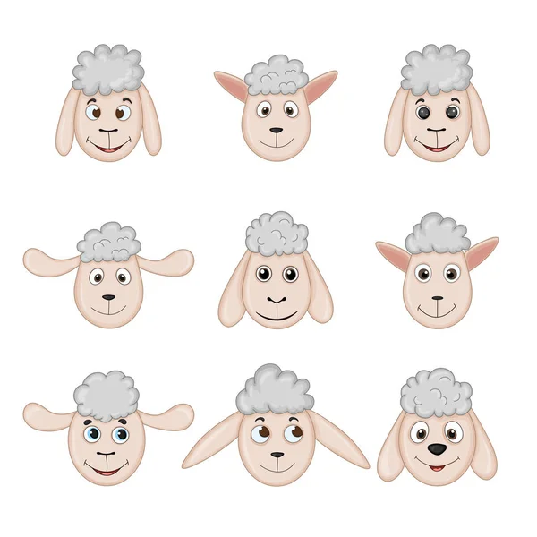 Différentes têtes de moutons sans cornes. animaux de dessin animé — Image vectorielle