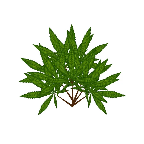 Marihuana Blatt Auf Reggae Flagge Vektorillustration — Stockvektor