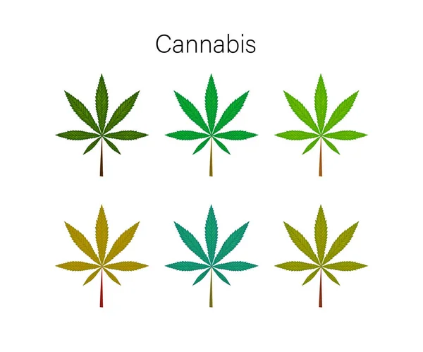 Set Mit Natürlicher Cannabiskosmetik Cartoon Stil Vektorillustration — Stockvektor