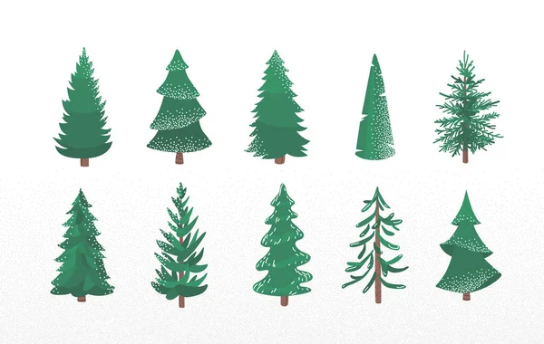 雪の質感のモミの木のセット 白を基調にした松とトウヒのクリスマスベクトルイラスト クリスマスの装飾のためのシンプルなフラット漫画緑の植物要素 — ストックベクタ