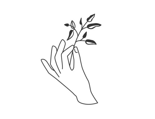 葉を持つ花の小枝植物を手で保持します 白地に隔離されたシンプルなフラットラインスタイルのベクトルイラスト — ストックベクタ