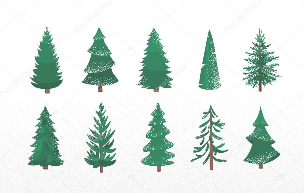 Set of fir tree with snow texture. Pine and spruce xmas vector illustration isolated on white background. Simple flat cartoon green plant elements for christmas decorating.