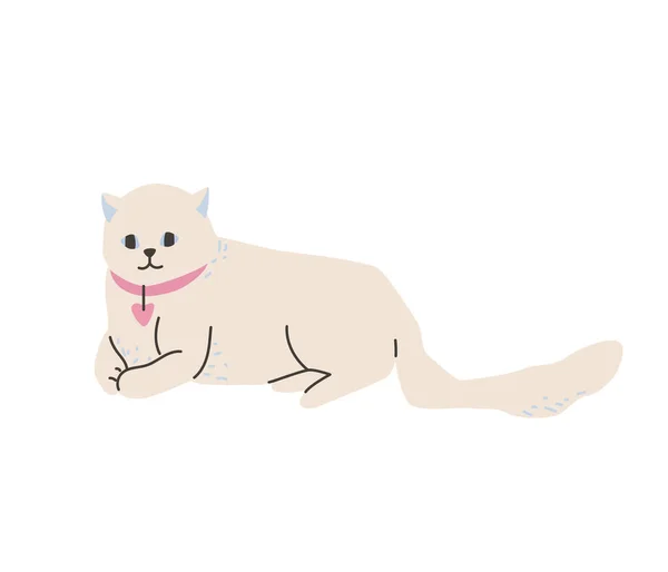 Gato británico blanco acostado en una pose hermosa. Ilustración vectorial en estilo plano de dibujos animados simples. Aislado sobre fondo blanco — Vector de stock