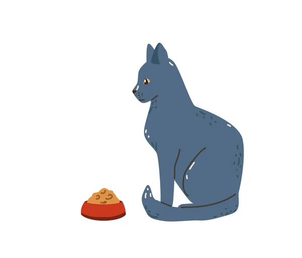 Elegante gato gris sentado cerca de un tazón con comida. Raza de mascotas rusas azules. Ilustración vectorial en estilo plano de dibujos animados simples. Aislado sobre fondo blanco — Vector de stock
