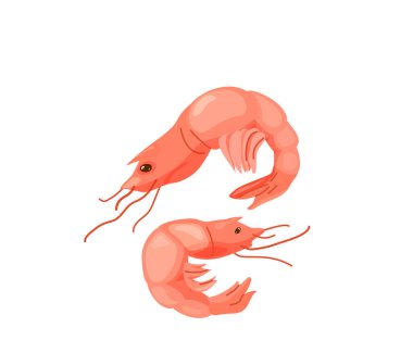 Parlak renkli karides karides deniz ürünleri beyaz arka planda izole edilmiş düz çizgi film tarzı. Sağlıklı besin vektörü çizimi. Organik yemek konsepti