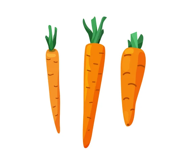 Tres zanahorias con hojas cortadas en dibujos animados de color brillante estilo plano aislado sobre fondo blanco. Ilustración saludable del vector alimenticio. Concepto de comida ecológica — Archivo Imágenes Vectoriales