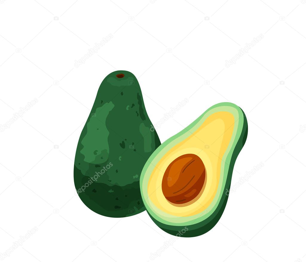 Two avocado cut and whole in bright color cartoon flat style isolated on white background. Healthy food vector illustration. Organic meal concept