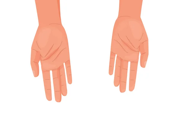 Ajutor oferă fundal concept izolat pe alb. Mâinile întinse într-un gest de a oferi asistență. Două palme umane. Vedere de sus. Ilustrație vectorială în stil simplu de desene animate plate — Vector de stoc