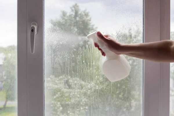 washing Windows, General cleaning and eco friendly products for cleaning Windows and home