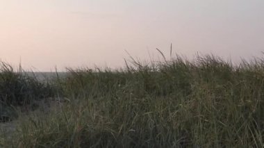 Hooksiel bir demet çim ile kum tepeleri