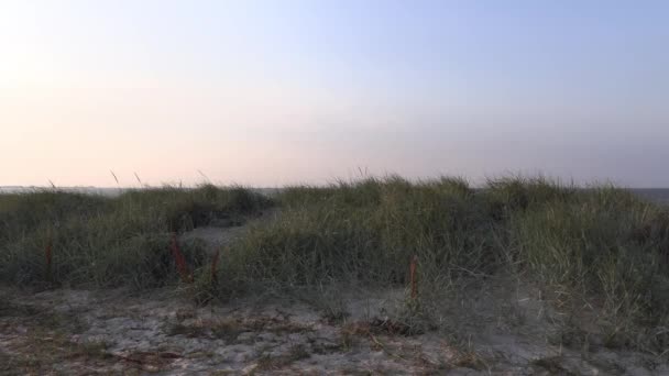 Пляж Хофксигель Поблизу Вільгельмсгафен Німеччина — стокове відео