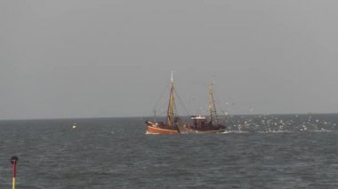 Birçok martılar ile Hooksiel Plajı yakınındaki yengeç teknesi