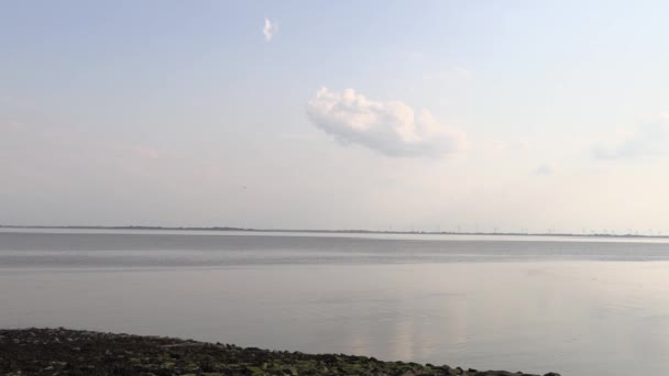 Südstrand Von Wilhelmshaven Einem Guten Tag — Stockvideo