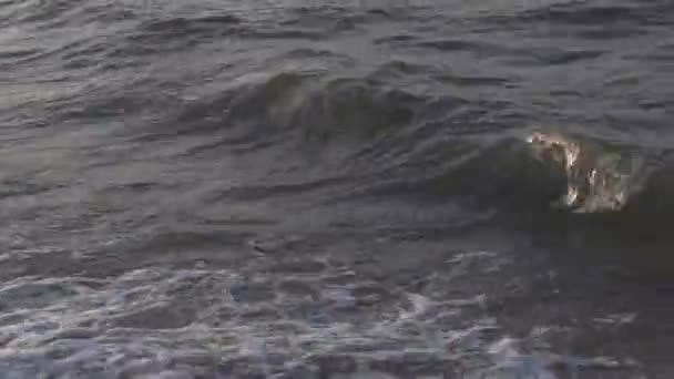 暑い夏の日の海の波 — ストック動画