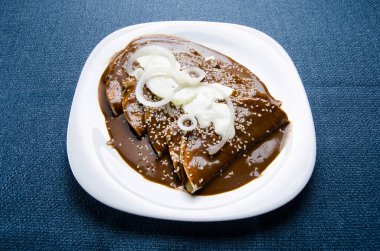 Köstebek salsa soslu otantik Meksika enchilada 'sı