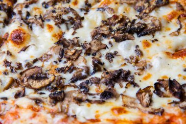 Otantik mantarlı pizza. Yakın plan.