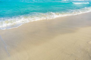 Cancun 'daki güzel tropikal plaj