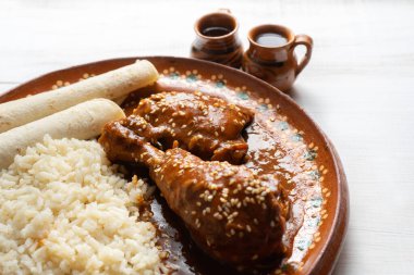 Geleneksel Meksika köstebek soslu tavuk.