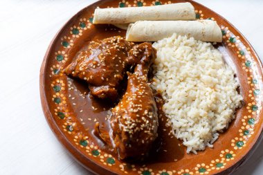 Geleneksel Meksika köstebek soslu tavuk.