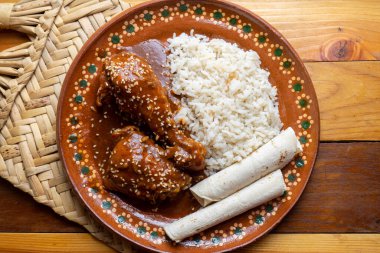 Geleneksel Meksika köstebek soslu tavuk.