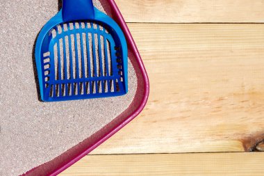 Kedi kumu kutusunu temizle